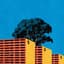 リンジュー・ラヴ