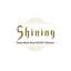 Shining Theme Music Shiro SAGISU Collection