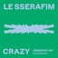 CRAZY (Japanese ver. / Party Remixes)