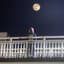 月が綺麗だ