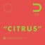 CITRUS (TV size)