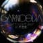 GARNiDELiA 〜リスアニ！LIVE 2017 in 武道館〜