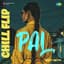 Pal (Chill Flip)