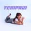 Tekipaki