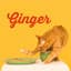 Ginger