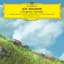 Mother’s Broom (from 'Kiki's Delivery Service')