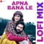 Apna Bana Le - Lofi Mix by Deepanshu Ruhela