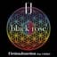 black rose