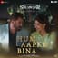 Hum Aapke Bina (From "Sikandar")