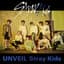UNVEIL Stray Kids