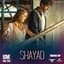 Shayad Remix (By DJ Angel & Abhijeet Patil) [From "Love Aaj Kal"]
