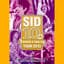 SID 10th Anniversary TOUR 2013 Live at 富士急ハイランド コニファーフォレストⅡ 2013.08.25