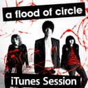 iTunes Session