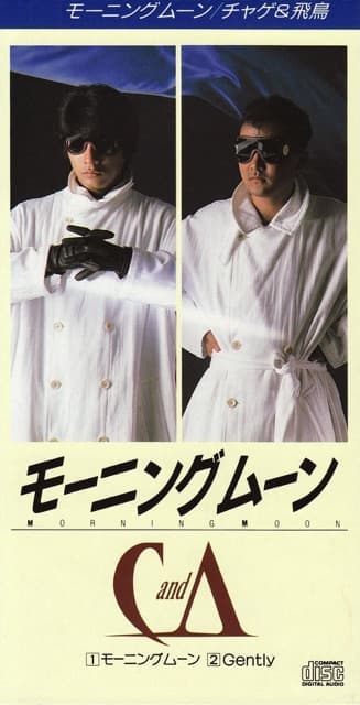 モーニングムーン
