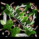 SPEEDLAND -The Premium Best Re Tracks-