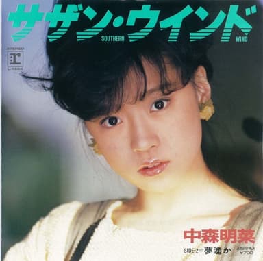 サザン・ウインド