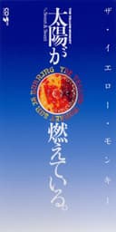太陽が燃えている