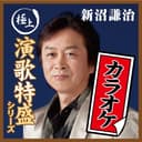 “極上演歌特盛カラオケ”シリーズ 新沼謙治