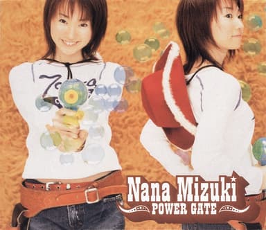 POWER GATE
