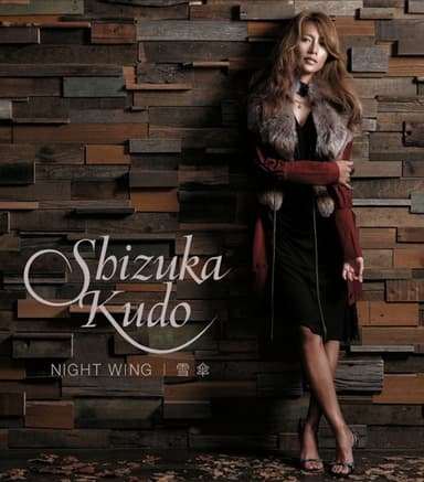 NIGHT WING / 雪傘