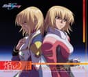 「機動戦士ガンダムSEED DESTINY」挿入歌 焔の扉
