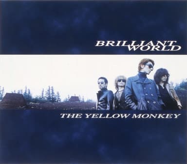 BRILLIANT WORLD