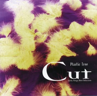 Cut