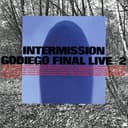 INTERMISSION / GODIEGO FINAL LIVE +2