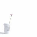あいたくて / MORNING-EVENING / goin' places