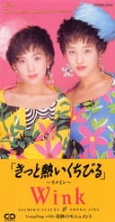 きっと熱いくちびる ~リメイン~ Single