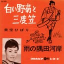 白い野菊と三度笠