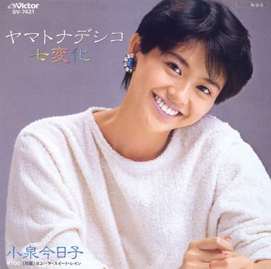 ヤマトナデシコ七変化 (Original Cover Art)