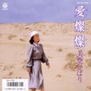 愛燦燦 (Original Cover Art)