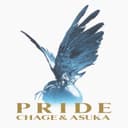 PRIDE