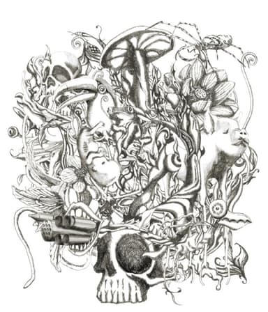 anima