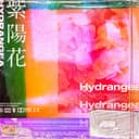 紫陽花 (feat. 13ELL, WAWA & JAYLOX)