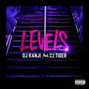 LEVELS (feat. Cz TIGER)