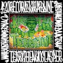 TEERY JANE (Remix)