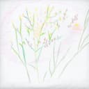 かすみ草の言い伝え (feat. 鏡音リン)