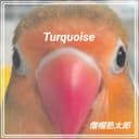 Turquoise (feat. Otomachi Una & mai)