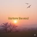 Nurture the soul