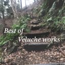 Best of Veluche works