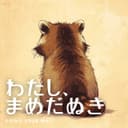 わたし、まめだぬき (feat. 可不)