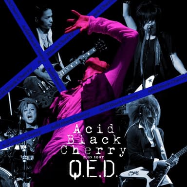 Acid Black Cherry 2009 tour "Q.E.D." LIVE