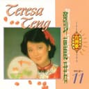 鄧麗君金曲選 Vol.11
