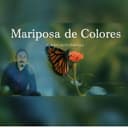 Mariposa de Colores