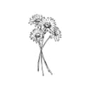 声を聞いて (feat. 可不)
