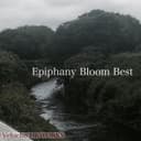 Epiphany Bloom Best