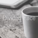 Divided Face (feat. GUMI)
